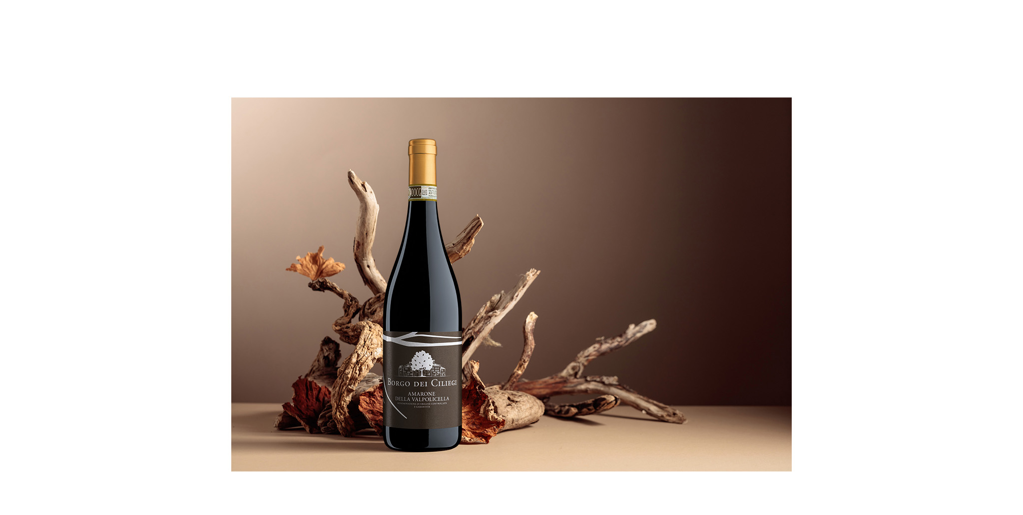 Amarone della Valpolicella