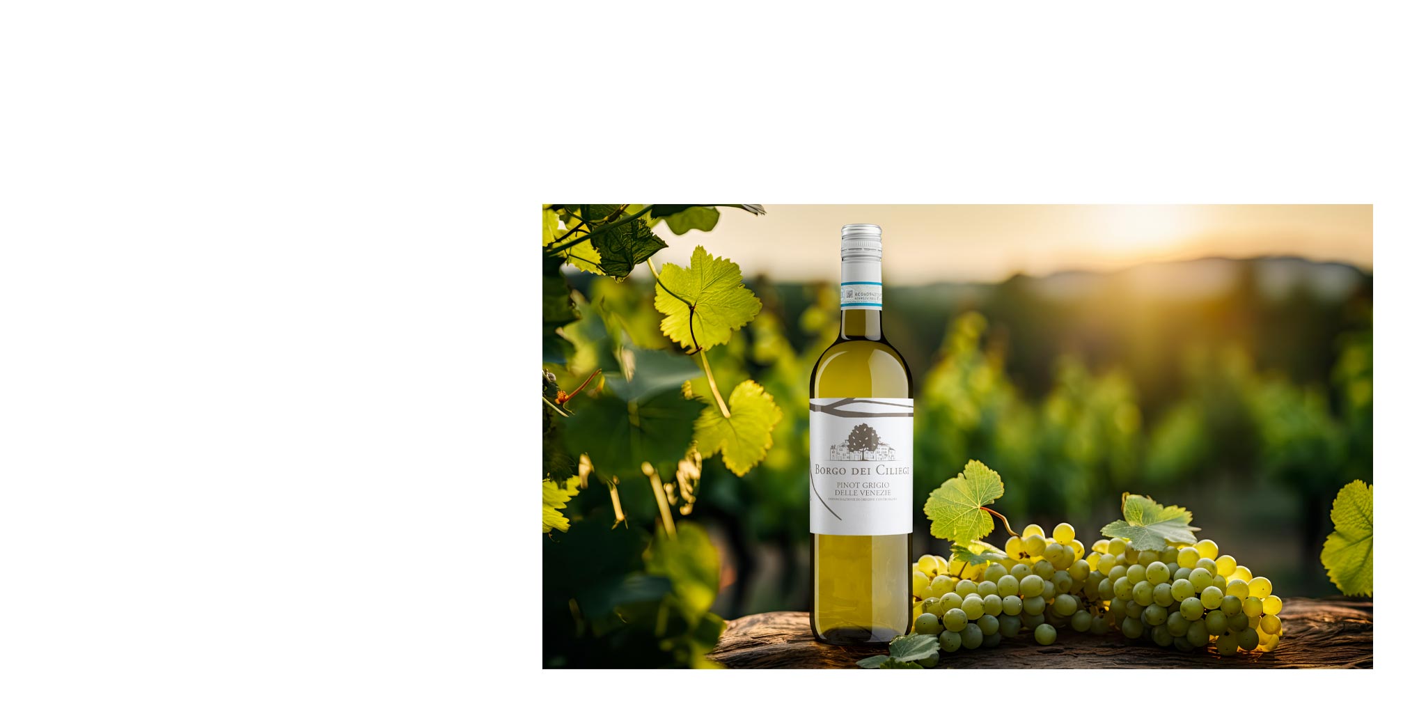 Pinot Grigio delle Venezie